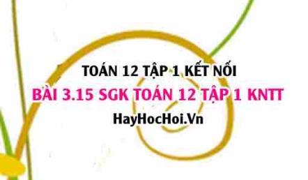Bài 3.15 SGK Toán 12 tập 1 Kết nối tri thức